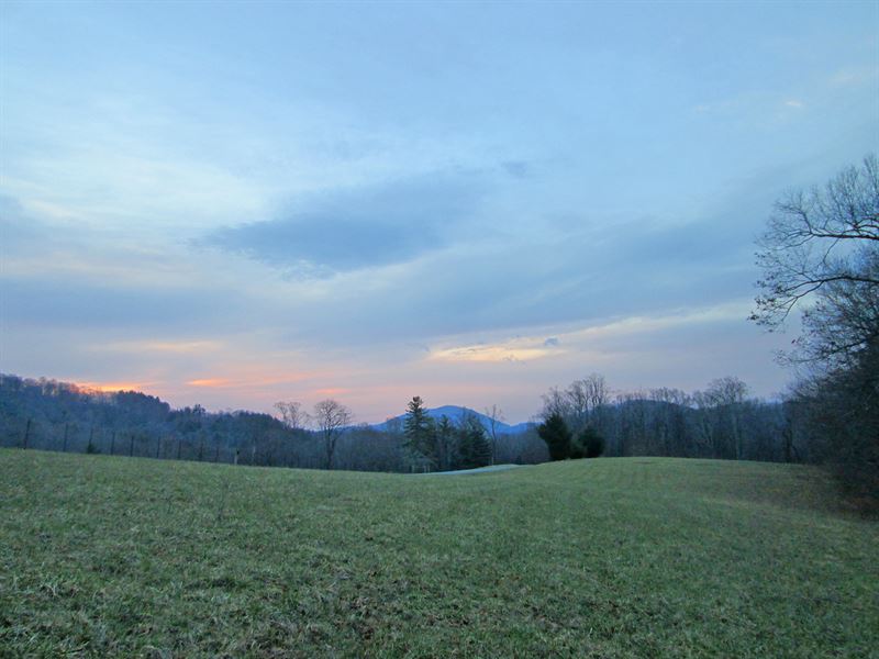 Mountain Beauty with Convenience : Boone : Watauga County : North Carolina