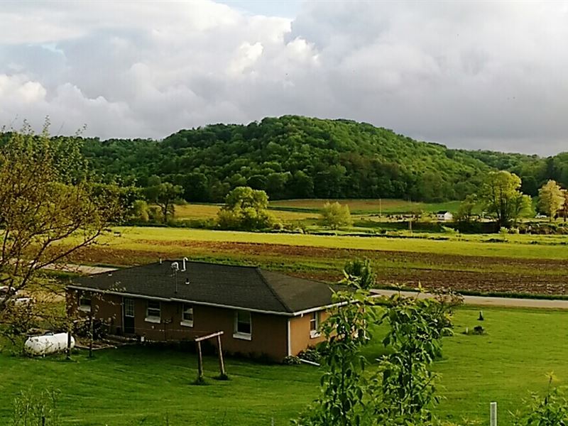 Waterfront Hobby Farm : Richland Center : Richland County : Wisconsin