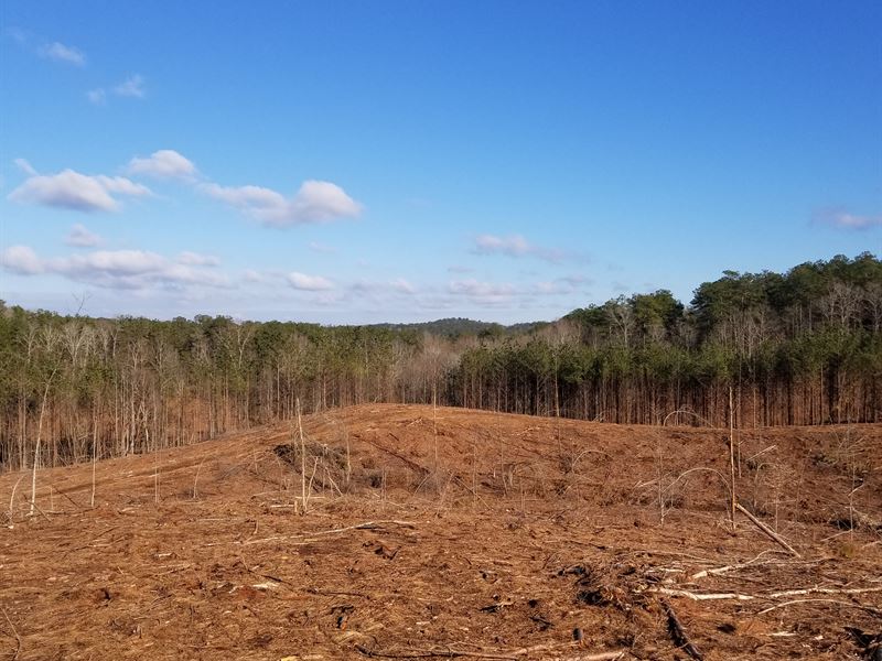 Ofelia Hills : Lineville : Randolph County : Alabama