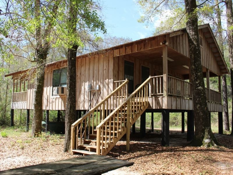 26 Acres with Camp in Pearl River : Poplarville : Pearl River County : Mississippi
