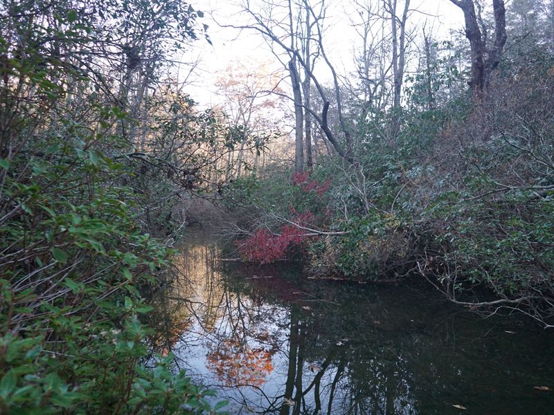 River Front On Lookout Mountain : Menlo : Dade County : Georgia