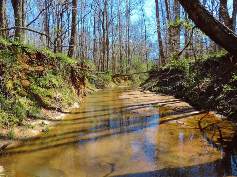 Big Creek Frontage & Hardwood : Greensboro : Greene County : Georgia