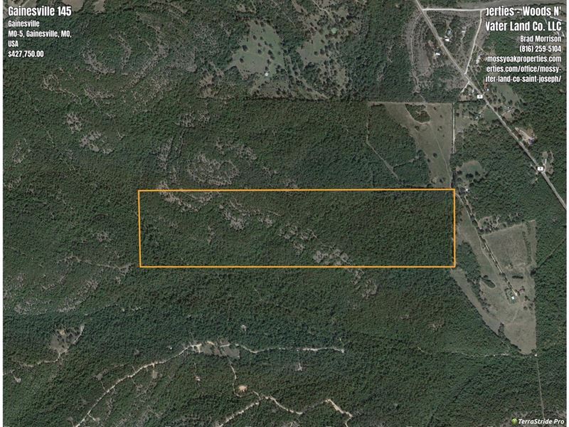 Secluded Ozark County Hunting Acrea : Gainesville : Ozark County : Missouri