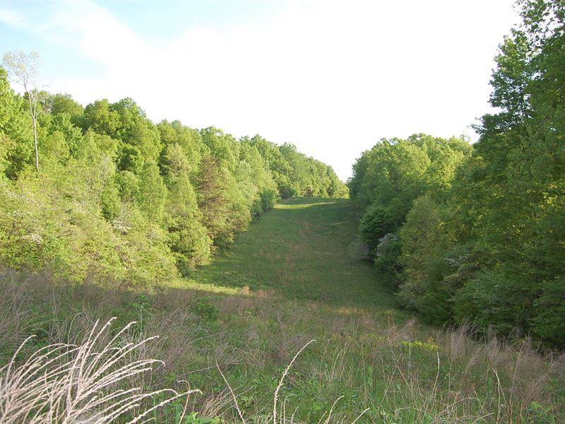 Collier Rd, 109 Acres : South Webster : Scioto County : Ohio