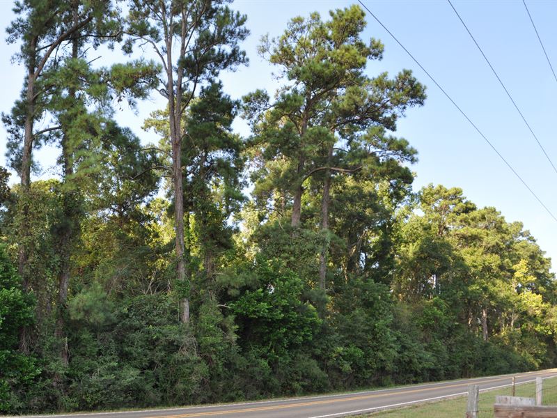 385 Acres Fostoria / Cleveland : Cleveland : Texas