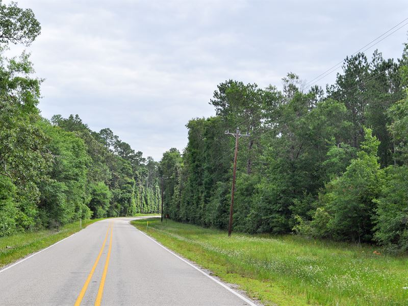 652 Acres Lebonne Cadeau : Kountze : Hardin County : Texas