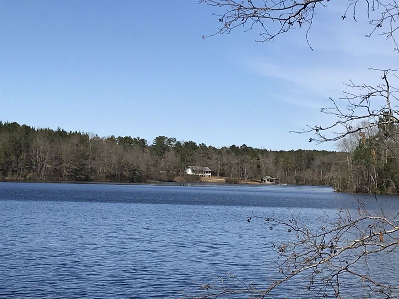 Wheely Lake : Shellman : Randolph County : Georgia