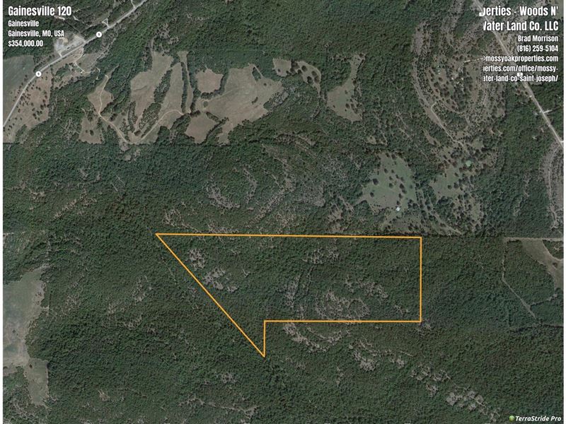 Secluded Off-Grid Hunting Acreage : Gainesville : Ozark County : Missouri