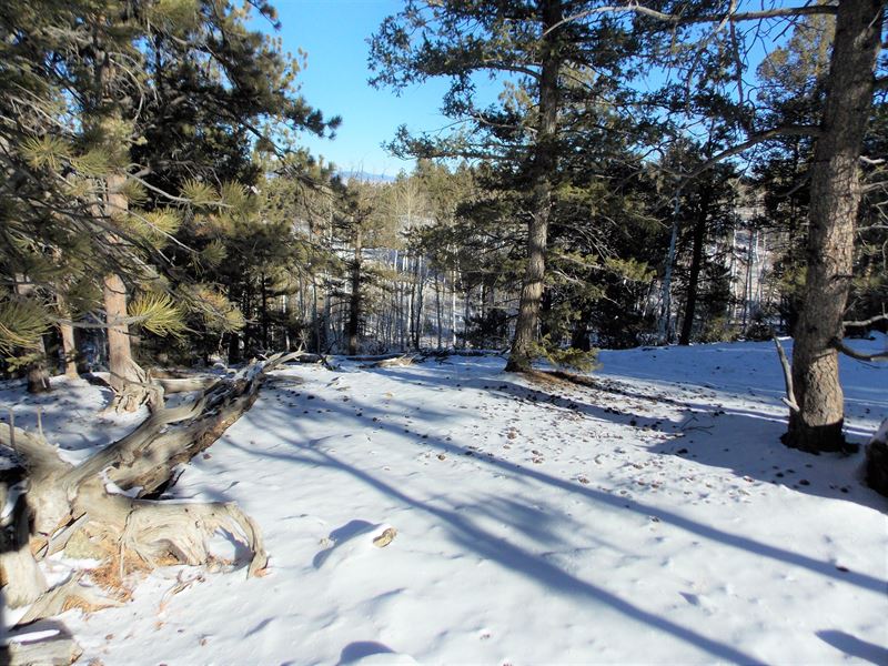 Trout Creek Pass Camp Or Build Si, Ranch for Sale in Colorado