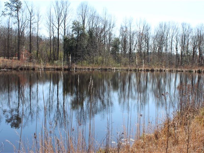 11.1 Acres Chesterfield County, SC : Chesterfield : Chesterfield County : South Carolina