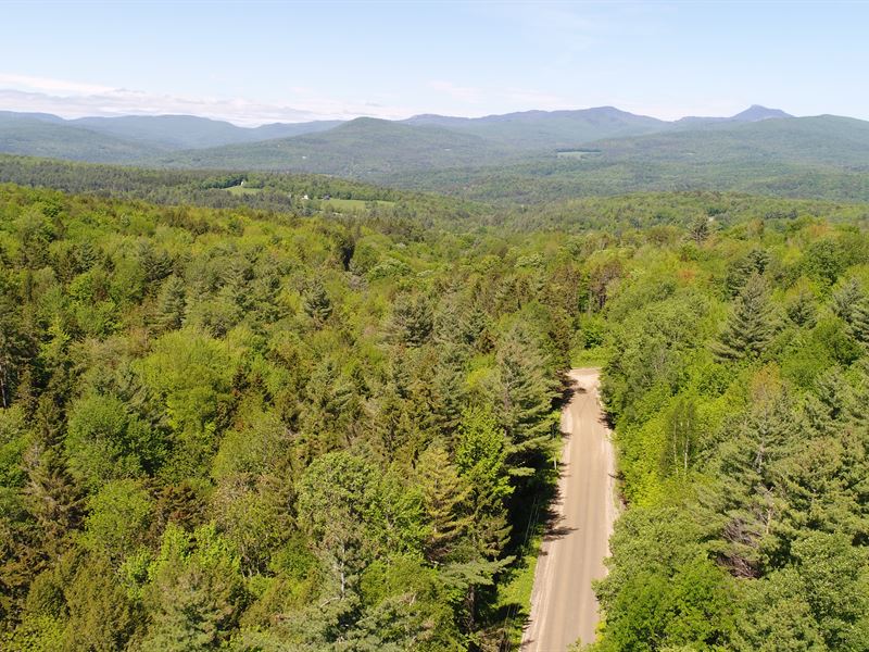 Moretown Gap Forest : Moretown : Washington County : Vermont