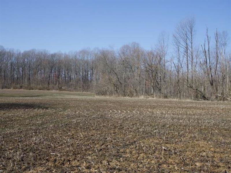 70 Acres Near Sullivan Lake : Shelburn : Sullivan County : Indiana