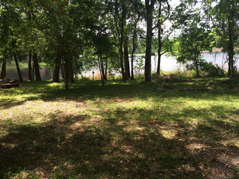 Secluded Beautiful Lakefront : Brooksville : Hernando County : Florida