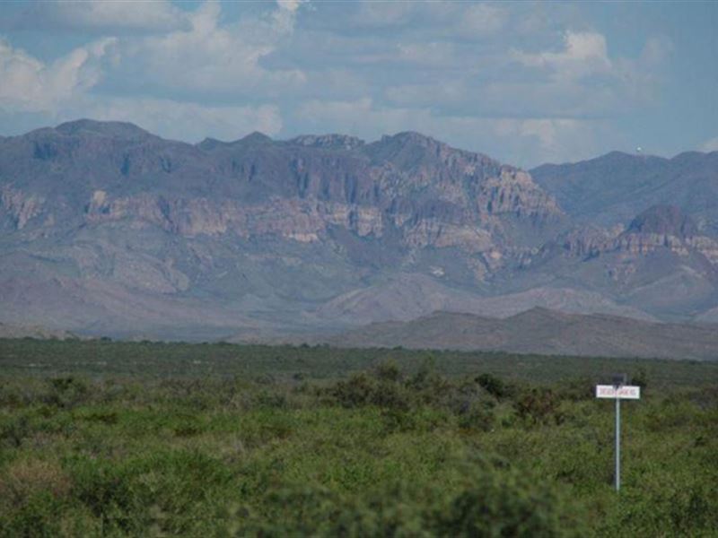 60 Acres Foreclosure Only $298/Mo : Sierra Blanca : Hudspeth County : Texas
