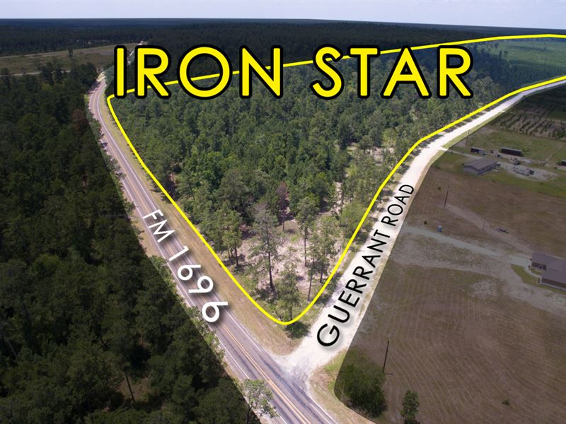 12.9 Ac Tract 7 Iron Star : Bedias : Walker County : Texas