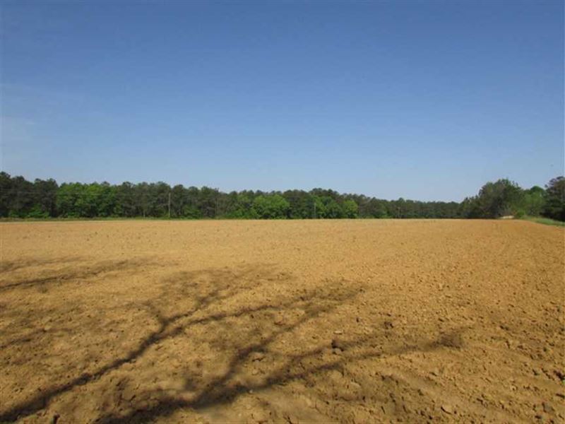 22 Acres of Agriculture Land : Morris : Clay County : Georgia