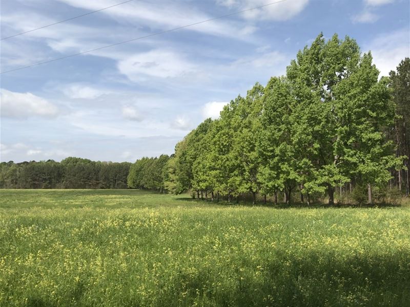 246+/- Acres Lowndes County : White Hall : Lowndes County : Alabama