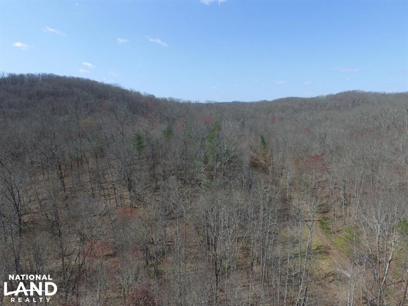 East Tennessee Wooded Hunting & Rec : Rockwood : Roane County : Tennessee
