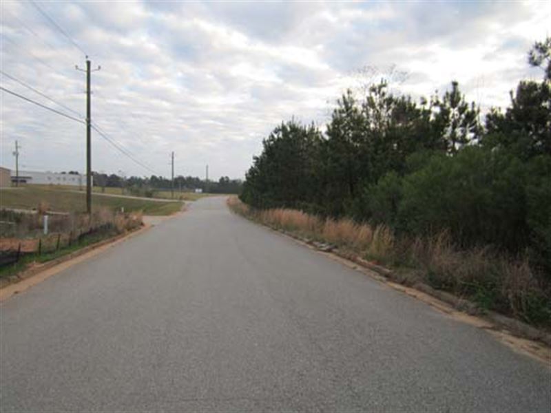 Land Auction in Macon, Ga : Macon : Bibb County : Georgia