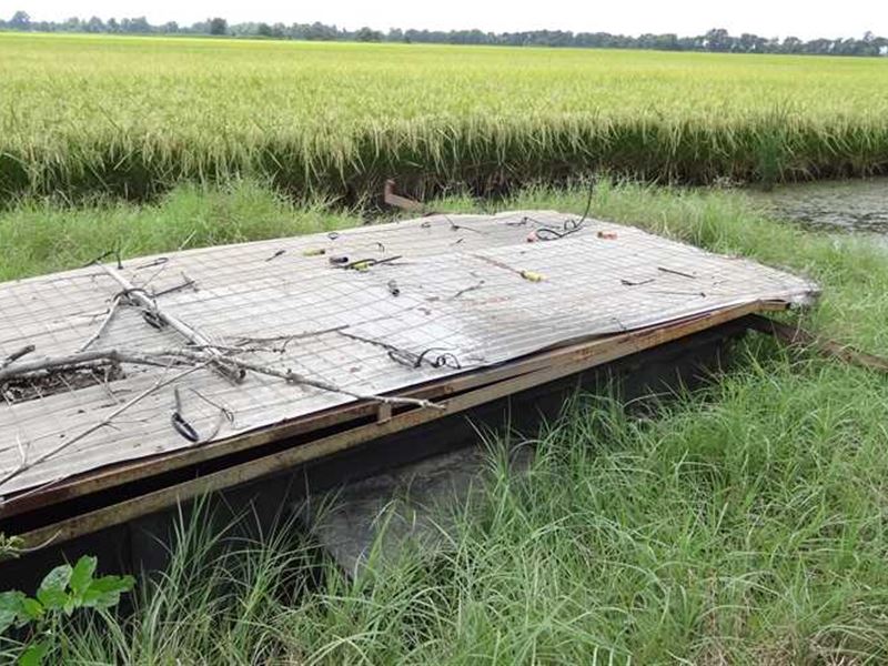 325 Acre Duck & Deer Lease : Coy : Lonoke County : Arkansas