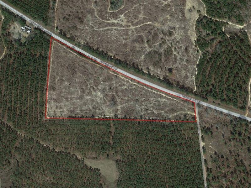 12.5 Acres Jack Hightower Road : Clayton : Barbour County : Alabama