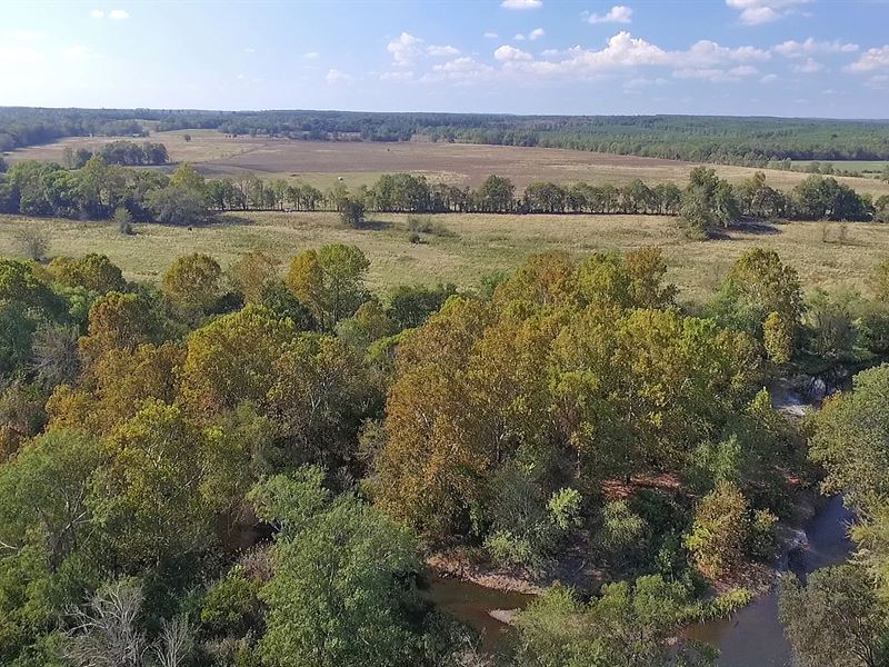 Cossatot River Ranch : Lockesburg : Sevier County : Arkansas