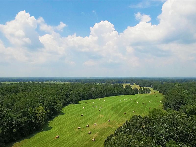 Saline Bluff Ranch : Lockesburg : Sevier County : Arkansas