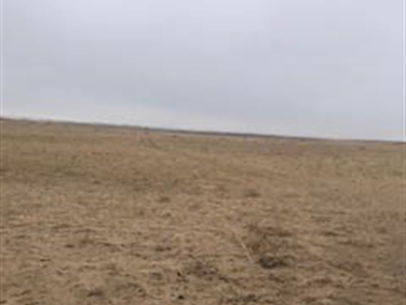 Farm For Sale In Finney County Ks Ranch For Sale In Garden City