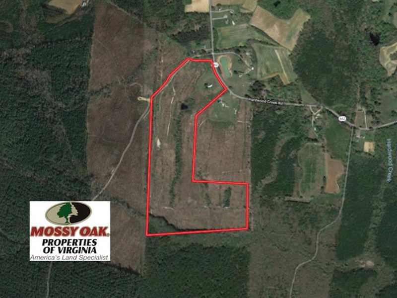 74 Acres of Hunting and Recreation : Stoney Creek : Dinwiddie County : Virginia