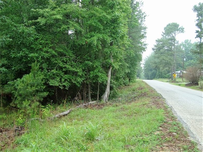 13 Acres - Fairfield County, Sc : Winnsboro : Fairfield County : South Carolina