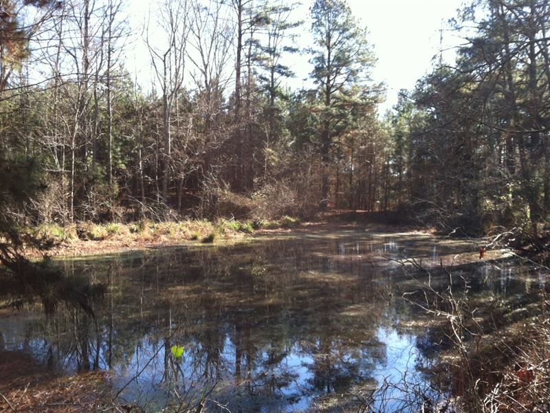 30.09 Acres, Fairfield County, Sc : Ridgeway : Fairfield County : South Carolina