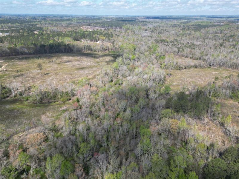 Gorgeous Recreational Tract in Lee : Opelika : Lee County : Alabama