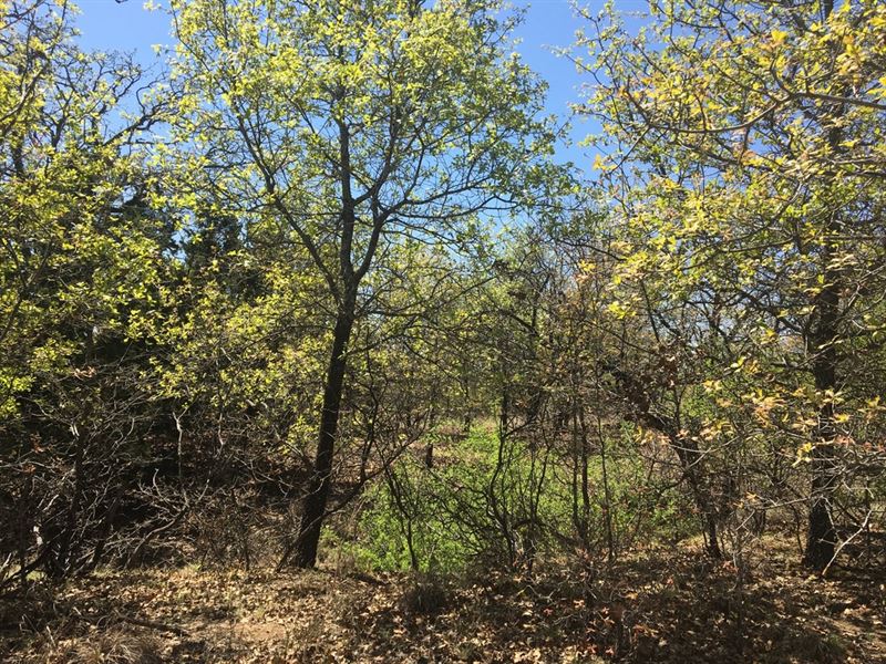 29+ Scenic Recreational Acres : Sidney : Comanche County : Texas