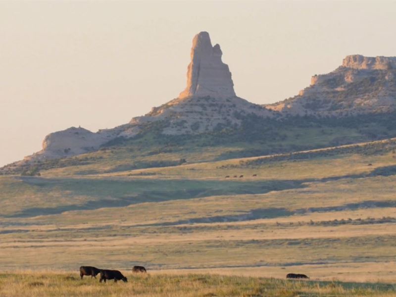 Canyon View Ranch : La Grange : Goshen County : Wyoming