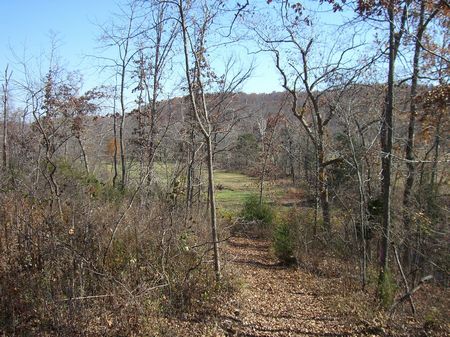 Spring Valley Ranch : Ravendon Springs : Randolph County : Arkansas