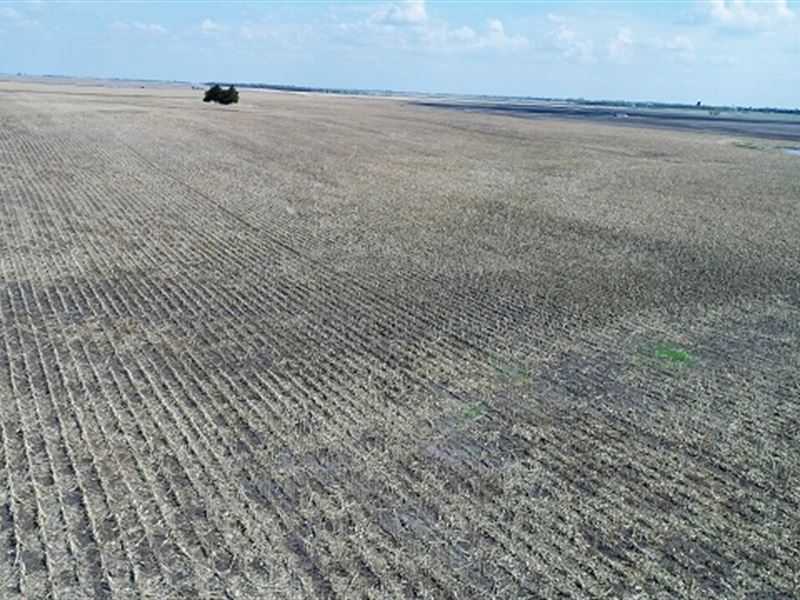 752 Contiguous Farm Land Acres : Miller : Hand County : South Dakota