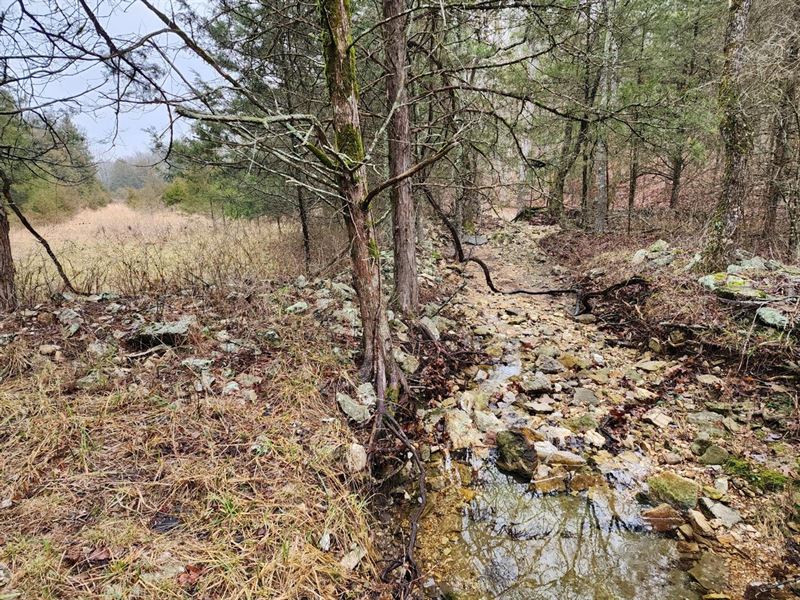 2550 Acres Ozark County : Gainesville : Ozark County : Missouri