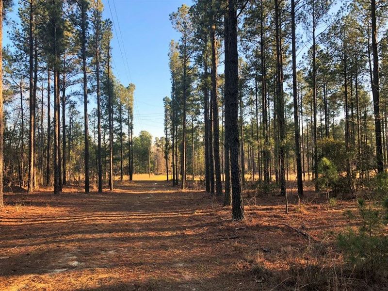 Ogeechee Farm : Mitchell : Washington County : Georgia