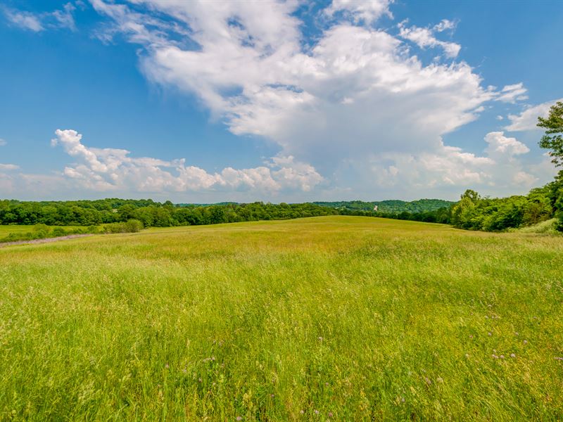 111 Acres Scenic Farm : Santa Fe : Maury County : Tennessee