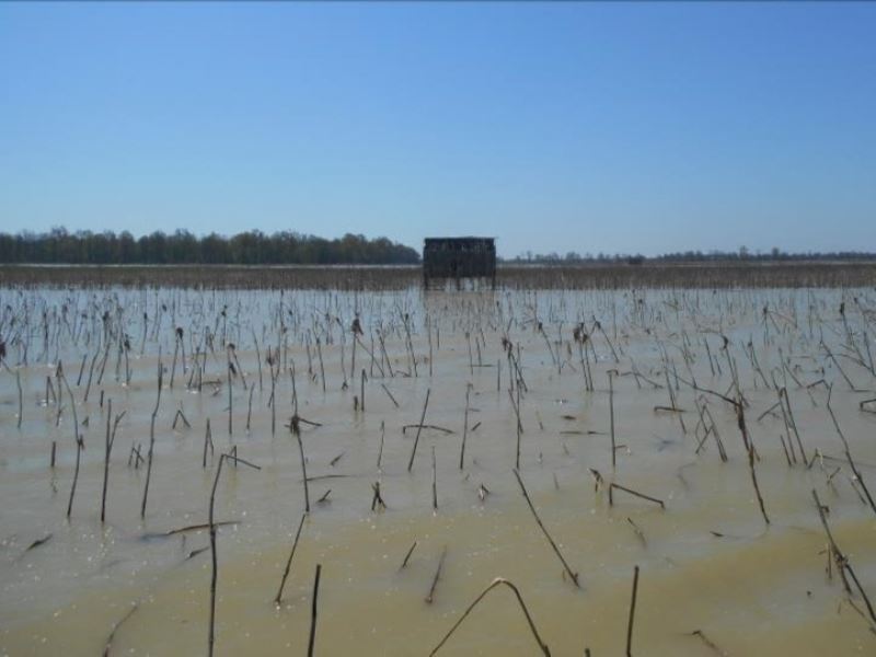 160 Acres in Tallahatchie County In : Tutwiler : Tallahatchie County : Mississippi