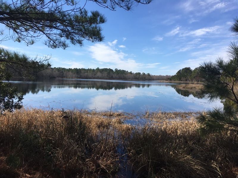 Daughtry Farms : Metter : Candler County : Georgia