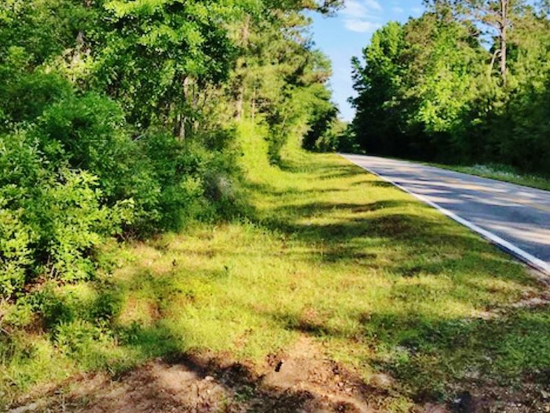 64 Acres Wolf River Frontage Land, Ranch for Sale in Mississippi