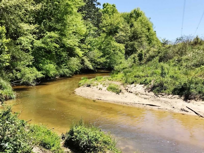 Pasture Hunting Land with Creek For : Tylertown : Walthall County : Mississippi