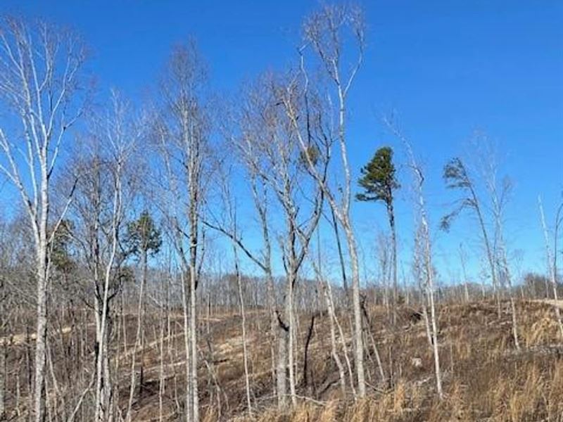 12.10 Acres with Views : Decatur : Meigs County : Tennessee