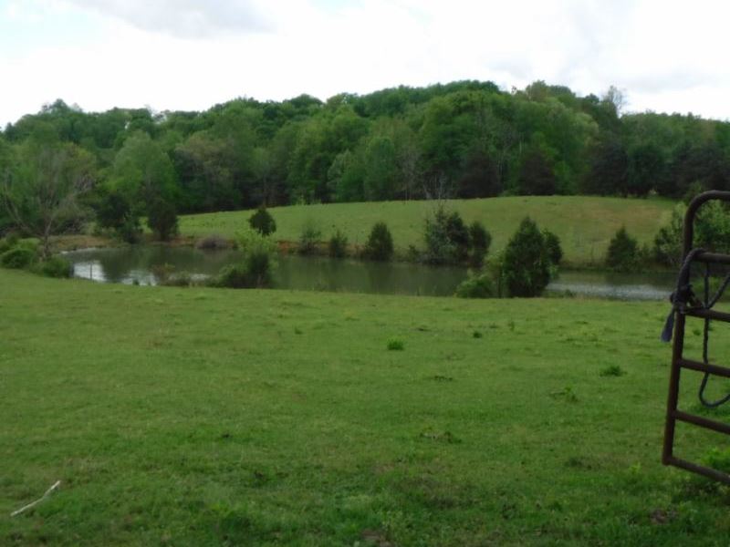 10.44 Ac W/Spring Fed Pond, Creek : Rickman : Cumberland County : Tennessee