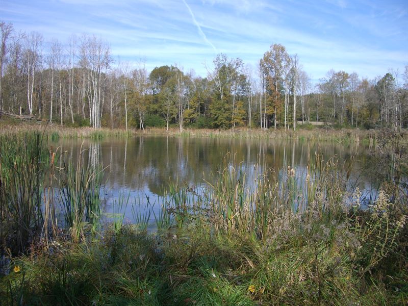 436.84 Acre Farm with Duck Hunting : Hollywood : Jackson County : Alabama