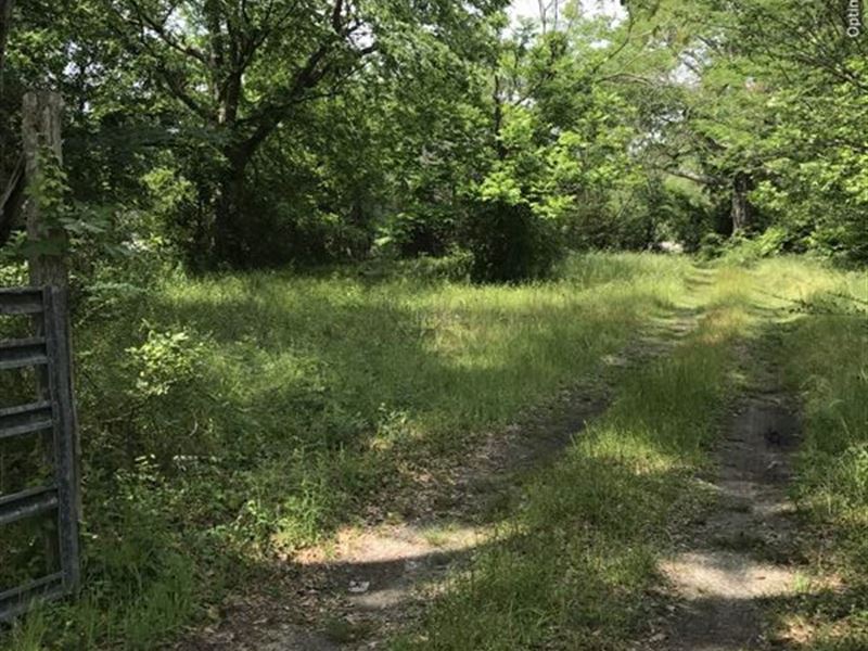 16+/-Ac in Clarke County, Ms : Shubuta : Clarke County : Mississippi