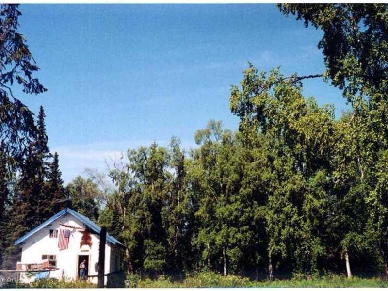 Remote Wilderness Cabin, Surrounde : Trapper Creek : Matanuska-Susitna Borough : Alaska