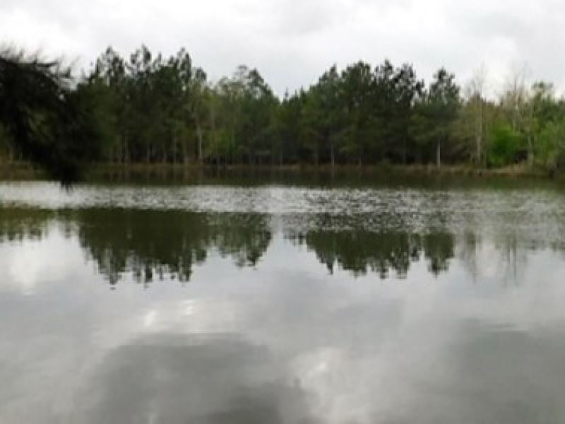 95 Acres in Hinds County in Midway : Midway : Hinds County : Mississippi