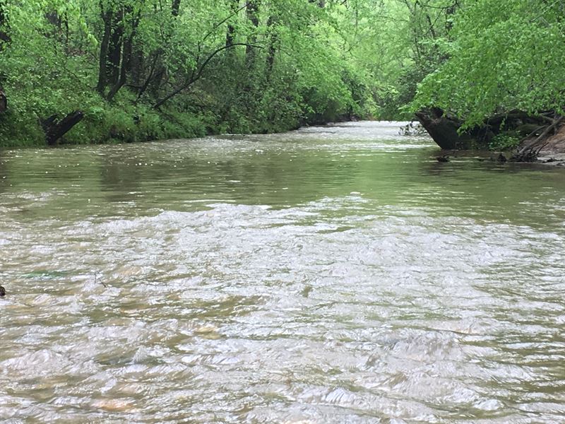 Water Mill Creek Tract : Temple : Haralson County : Georgia